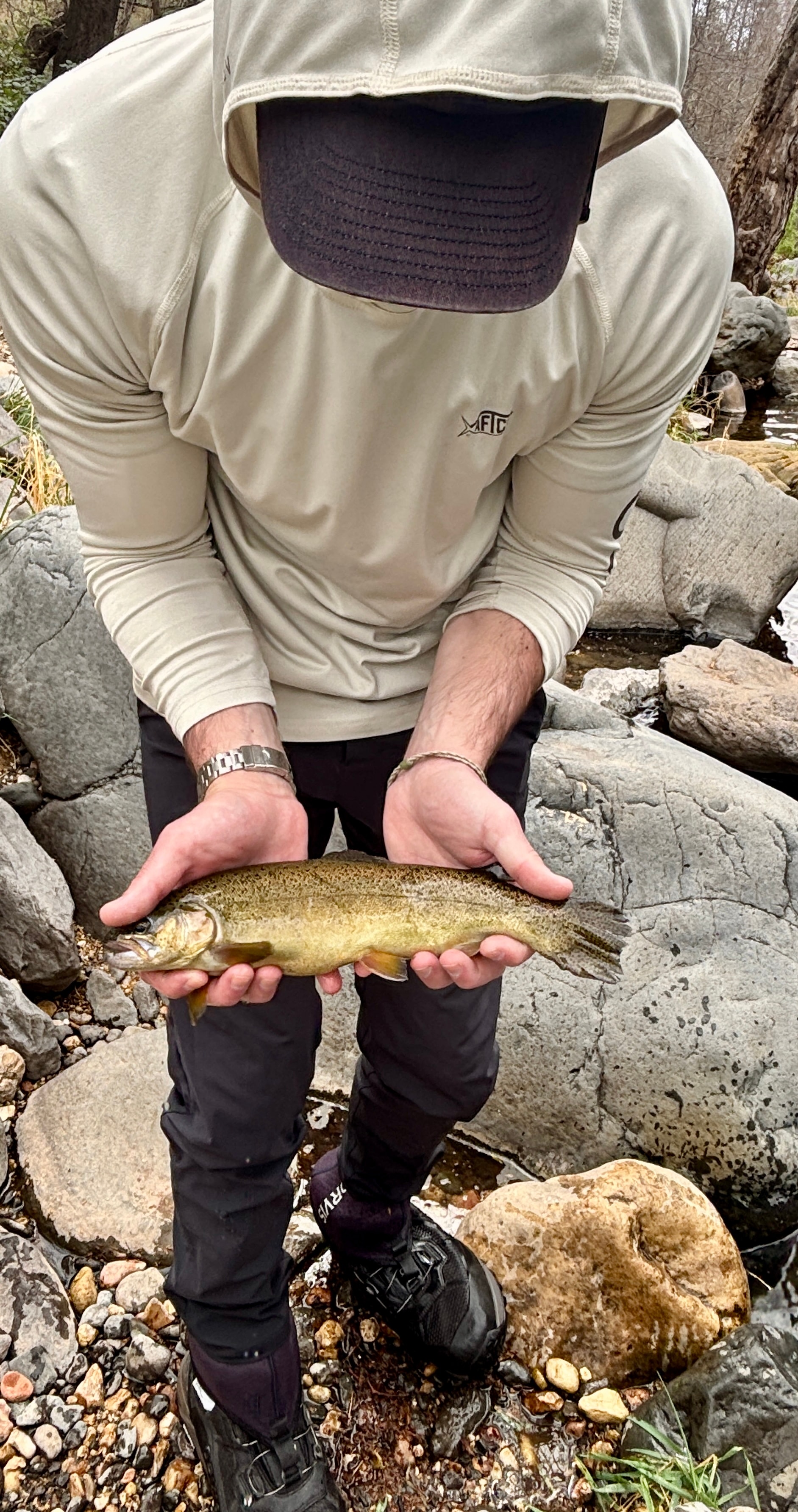 Angler holding a golden trout over rocky streambed