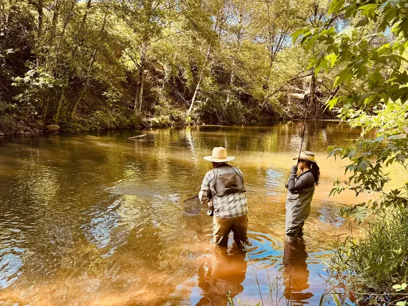 Guided Wading Trips